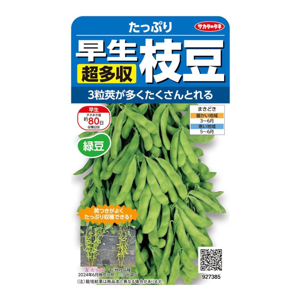 エダマメ種子　早生超多収枝豆　たっぷり