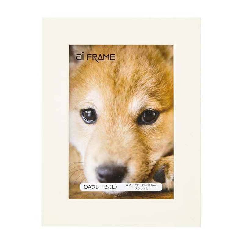 イワタ　ＯＡフレームＬ判　ホワイト　ＪＯＡ－Ｌ―Ｗ