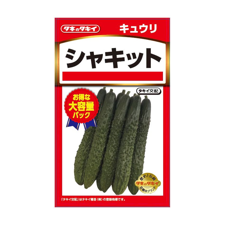 キュウリ種子　大容量パック　シャキットキュウリ
