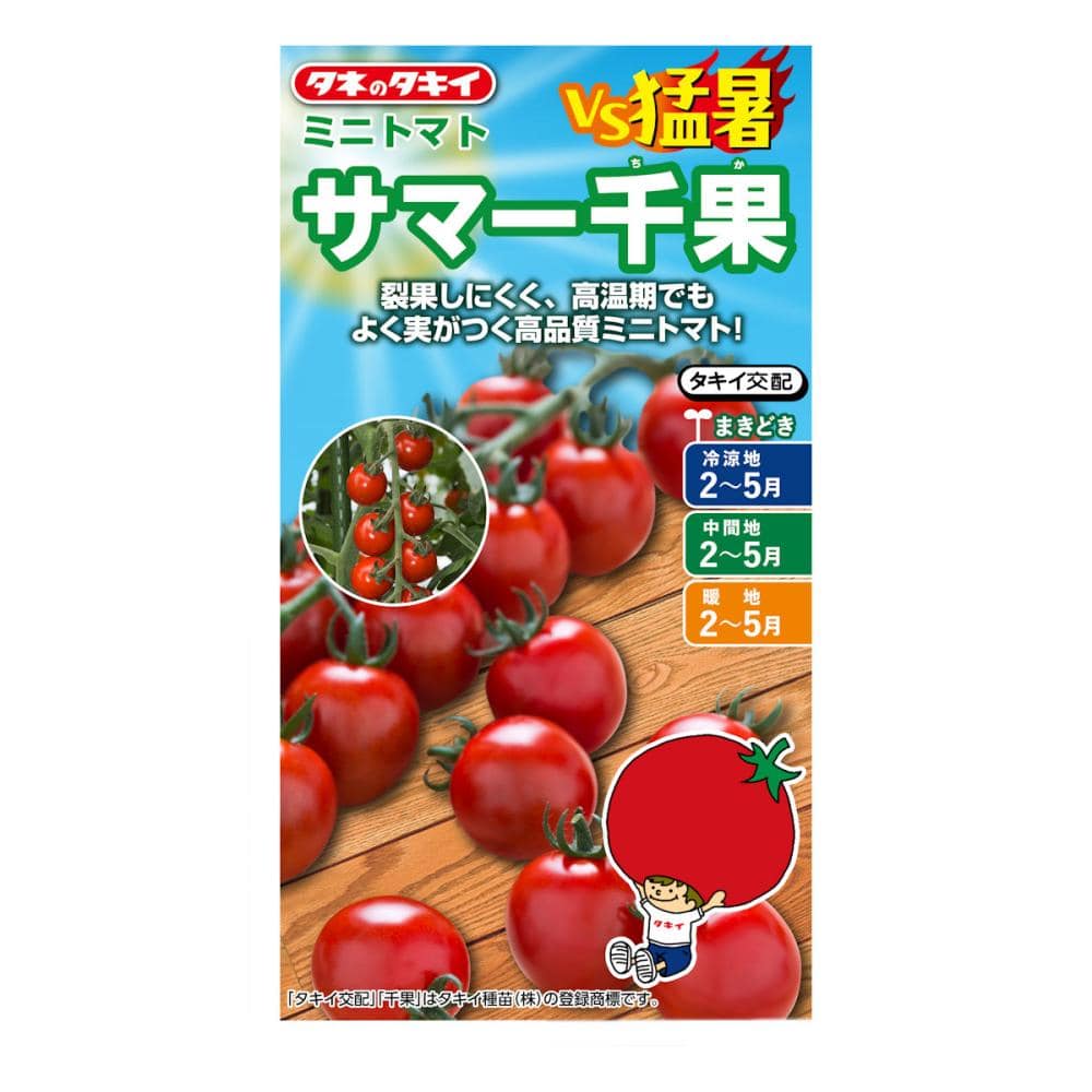 トマト種子　ＶＳ猛暑　ミニトマト　サマー千果