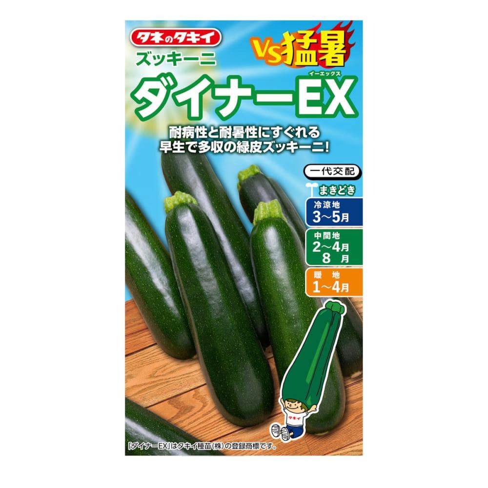 ズッキーニ種子　ＶＳ猛暑　ズッキーニ　ダイナーＥＸ