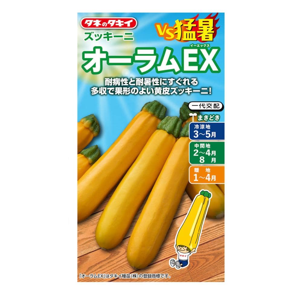 ズッキーニ種子　ＶＳ猛暑　ズッキーニ　オーラムＥＸ