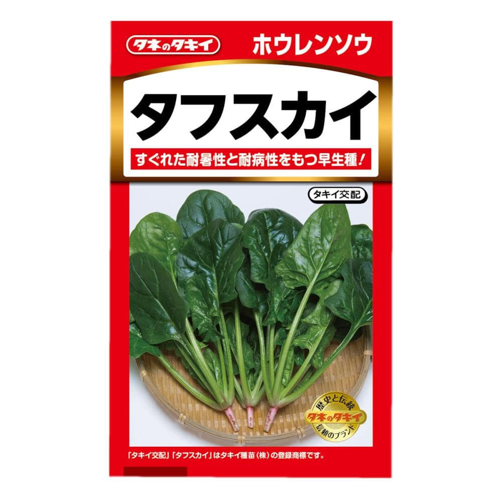 ホウレンソウ種子　早生法蓮草　タフスカイ
