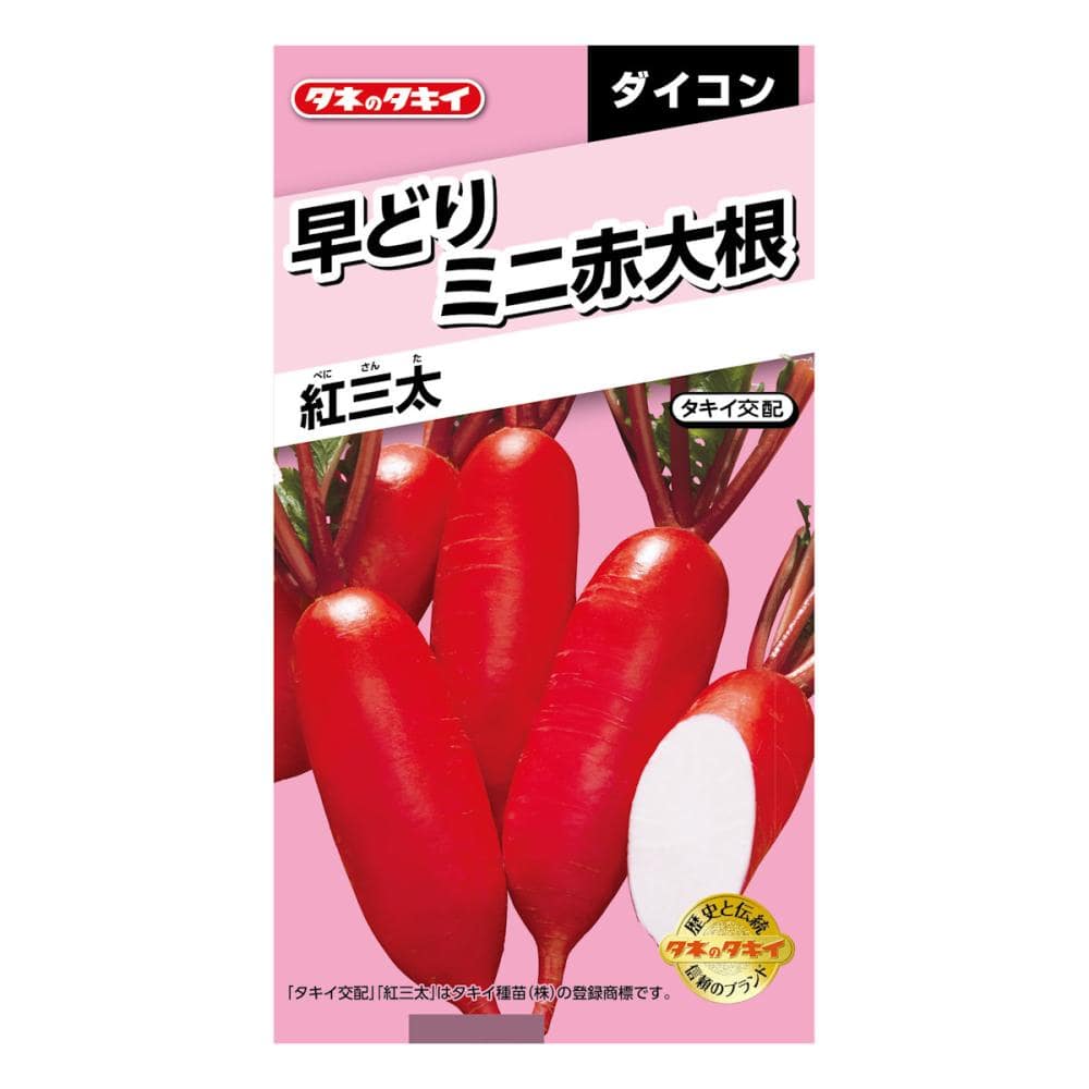 ダイコン種子　早どりミニ赤大根　紅三太