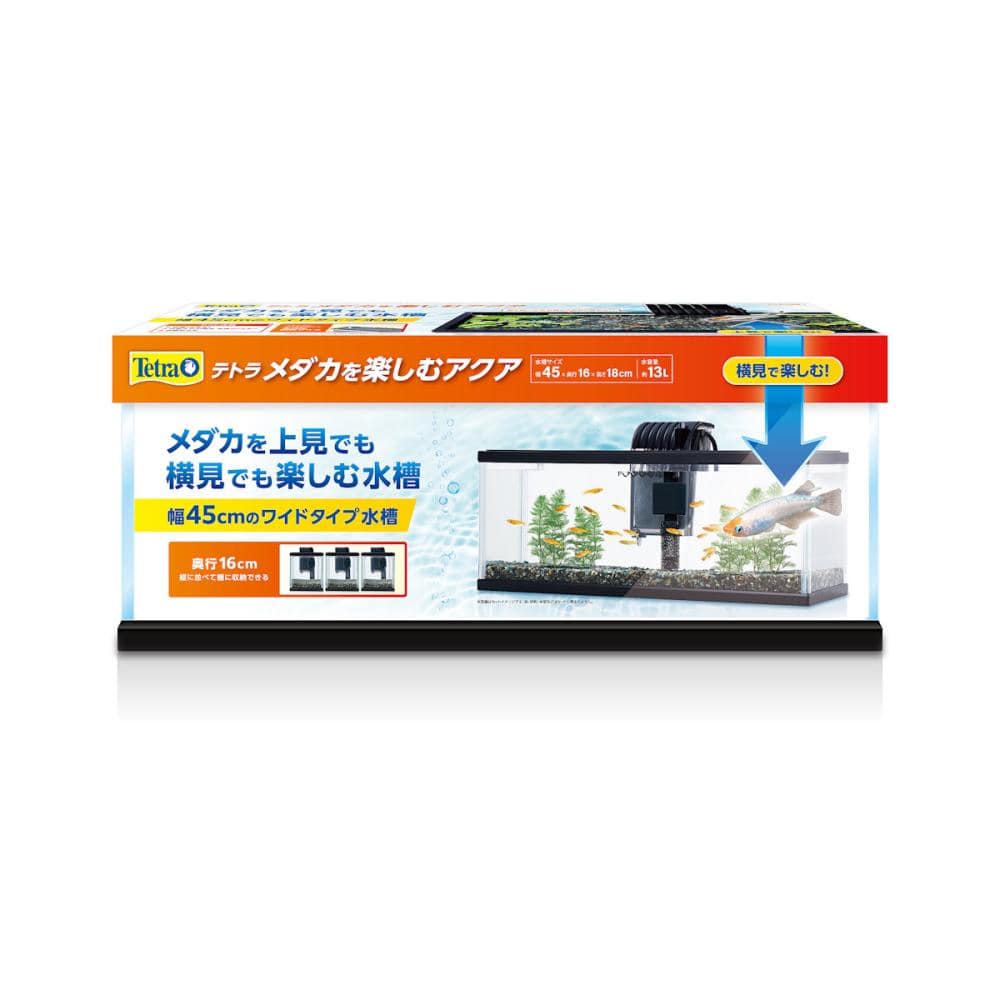 テトラ　メダカを楽しむアクア