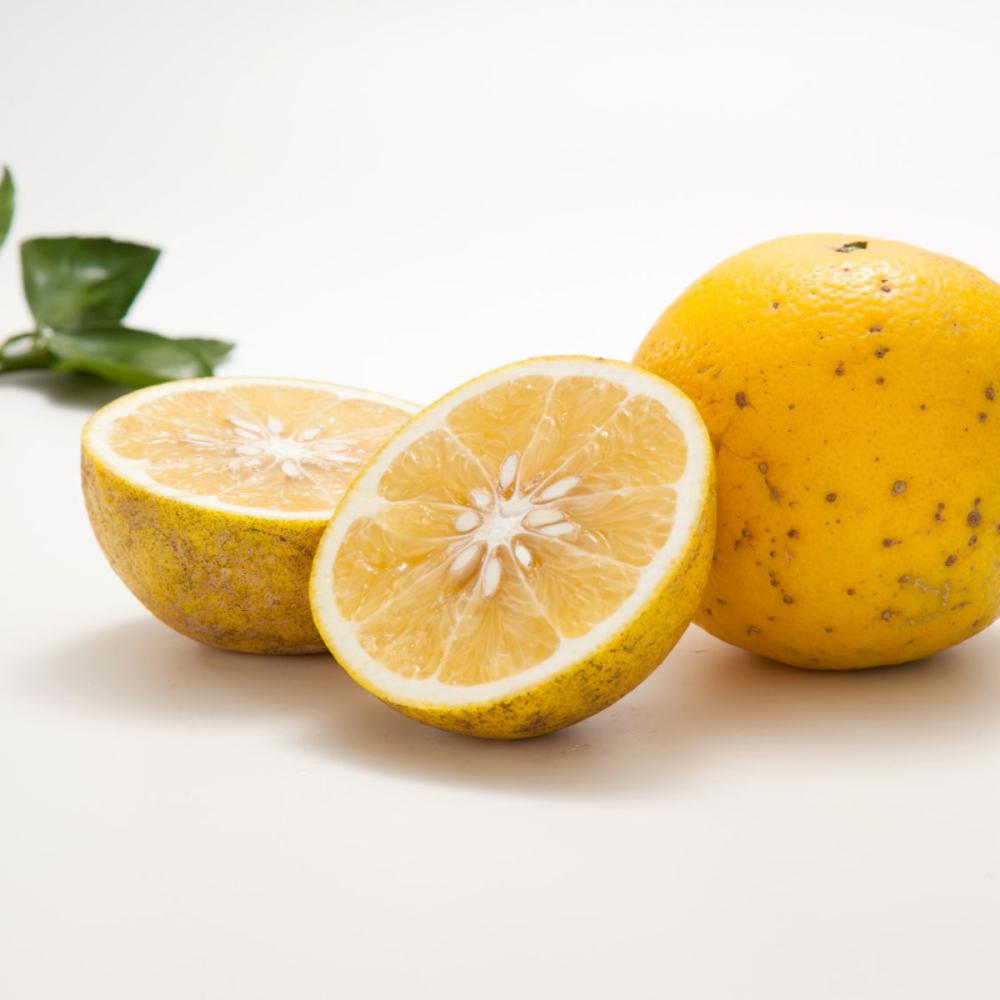 熊本県産　グレープフルーツ　良品家庭用　サイズ混合　約３ｋｇ