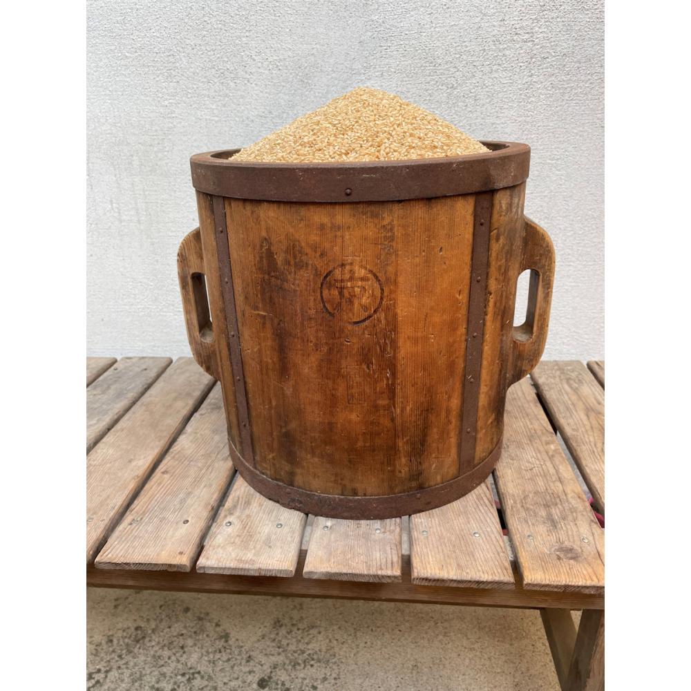 令和７年度　京都山城産米　ヒノヒカリ　玄米３０ｋｇ