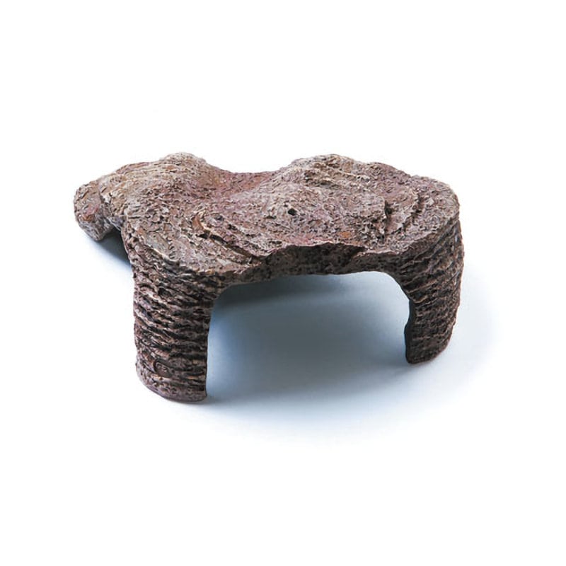 ＧＥＸ　カメ元気　カメの島　Ｍ‐１