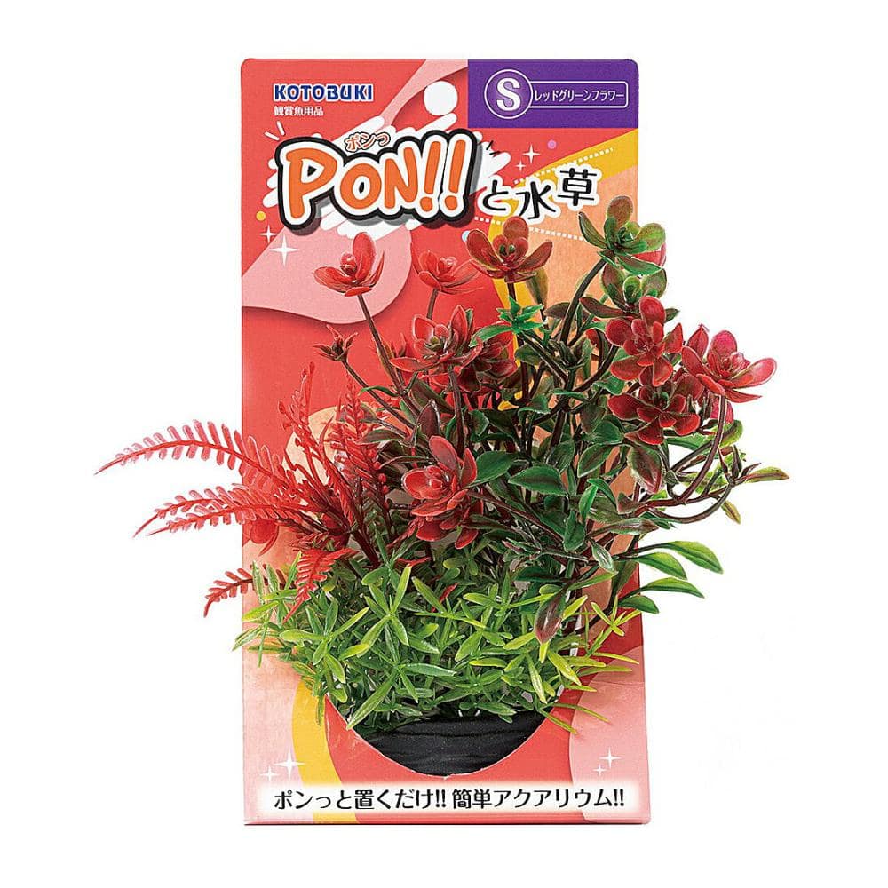 コトブキ　ＰＯＮ！！と水草　Ｓ　レッドグリーンフラワー