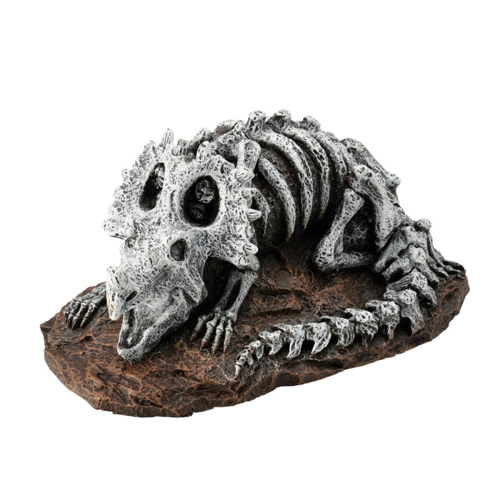 アクアリウムオーナメント　トリケラトプスの化石