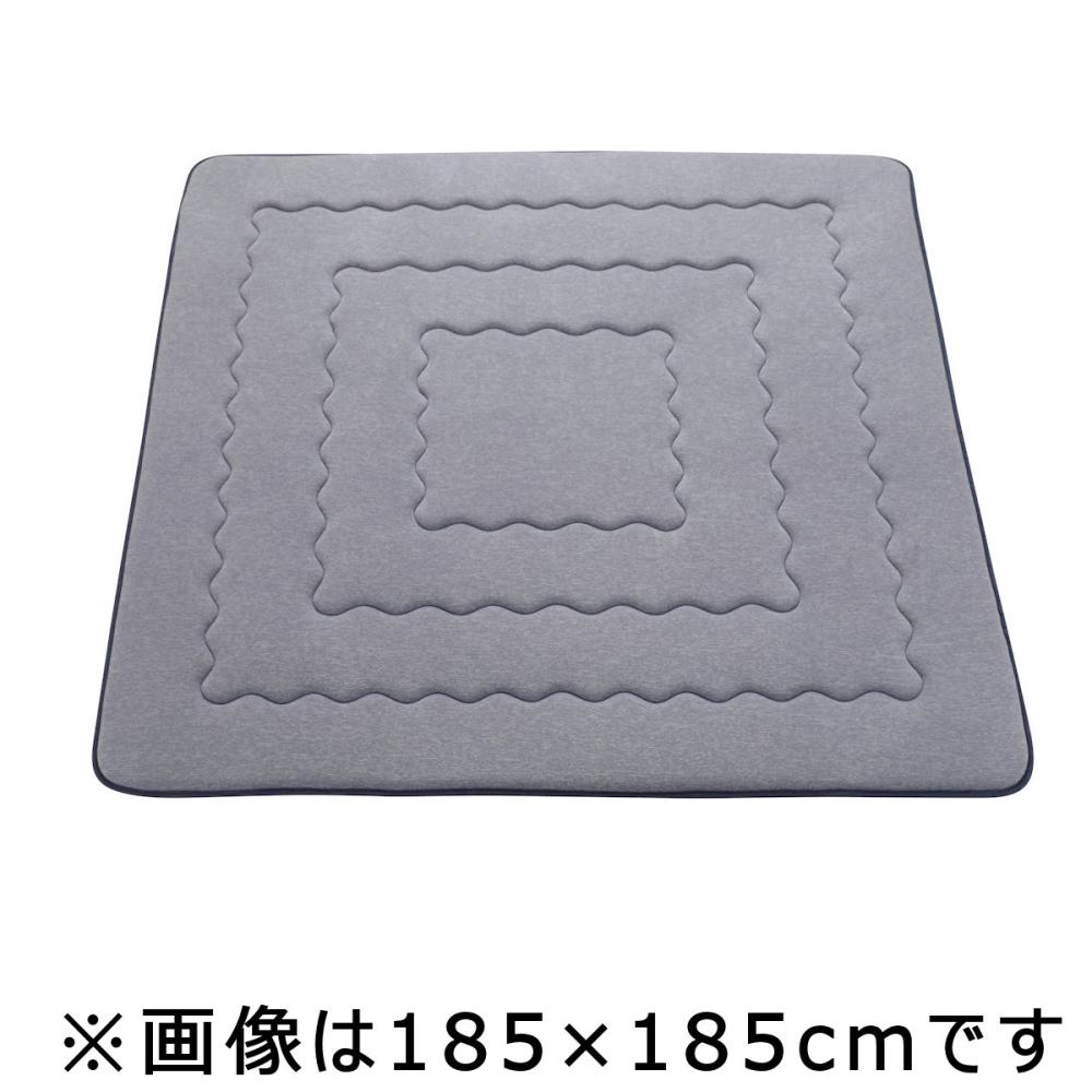 アテーナライフ　涼プラス超冷感　超ボリュームラグ　カルト　除湿プラス　１８５×２４０ｃｍ　約２．８畳