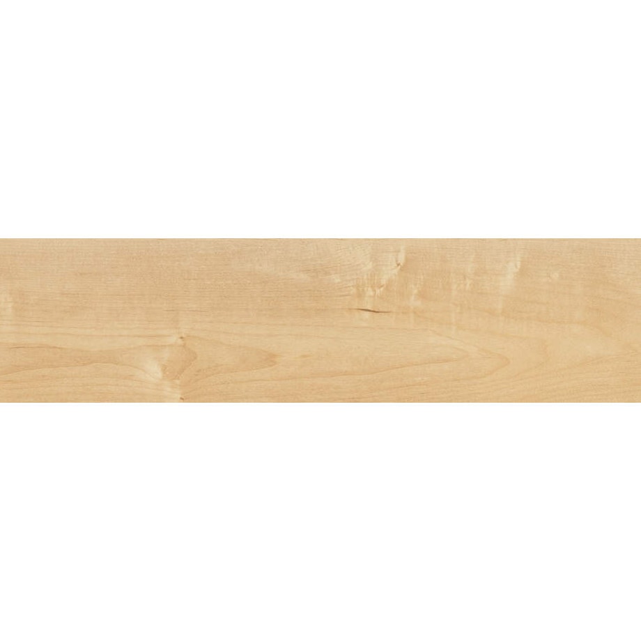 ＥＩＤＡＩ　フロア材　ダイレクトエクセルネオ４０Ｓ　シート・ボーダータイプ　パールペール柄　１３．６×１４５×９００ｍｍ　１坪（２４枚入り）　ＤＹＳＢ－ＰＰ