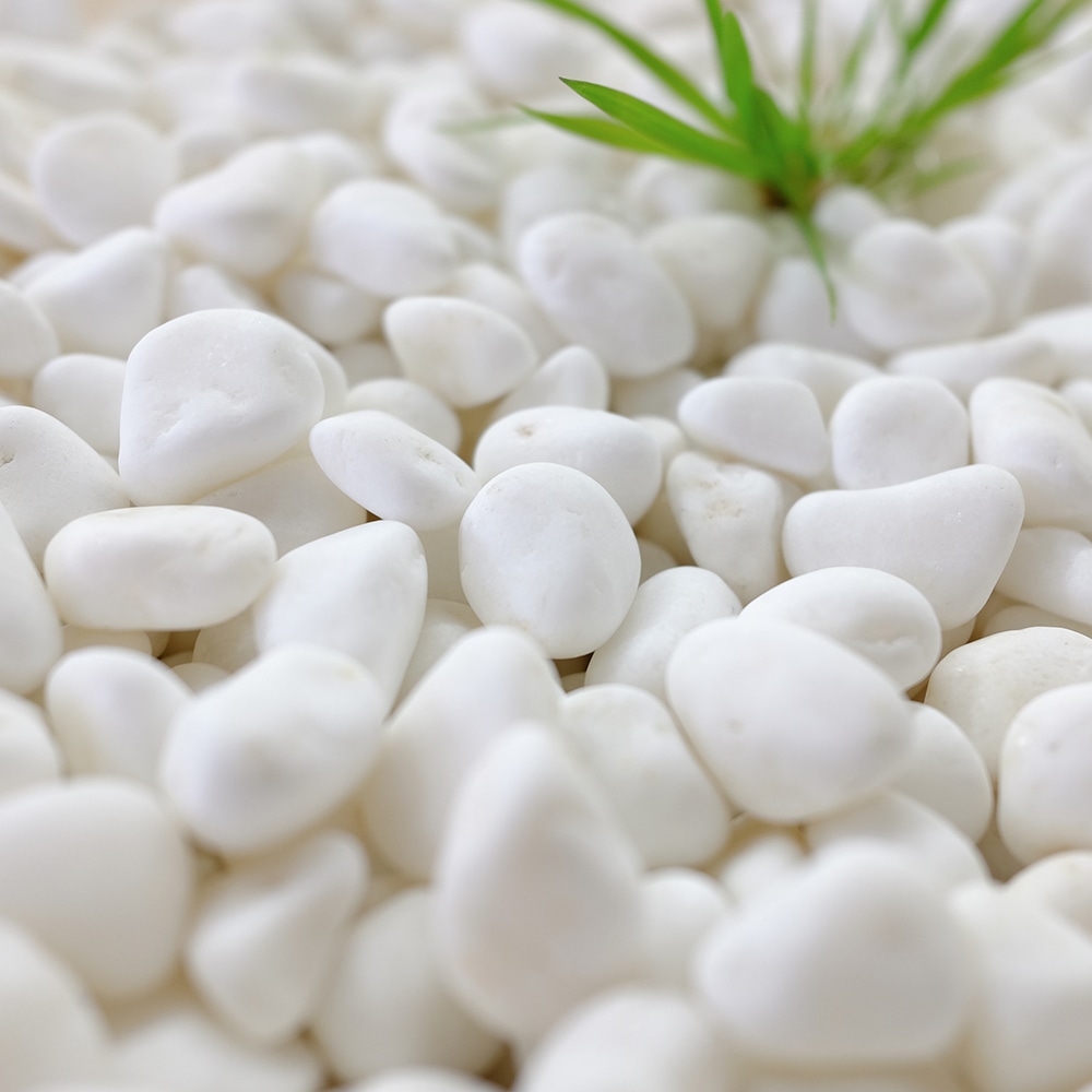 大光産業（ＴＡＩＫＯＨ）　高級白玉石　白仙　３分　１０－１５ｍｍ　１０ｋｇ