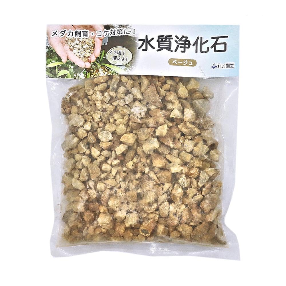 杜若園芸　メダカ鉢用コケ対策　水をキレイにする浄化石　ベージュ