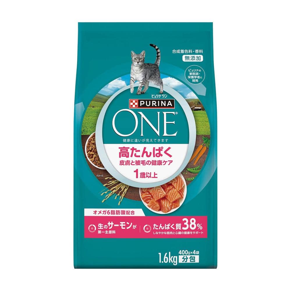 ワンキャット　高たんぱく　皮膚と被毛の健康ケア　サーモン　１．６ｋｇ