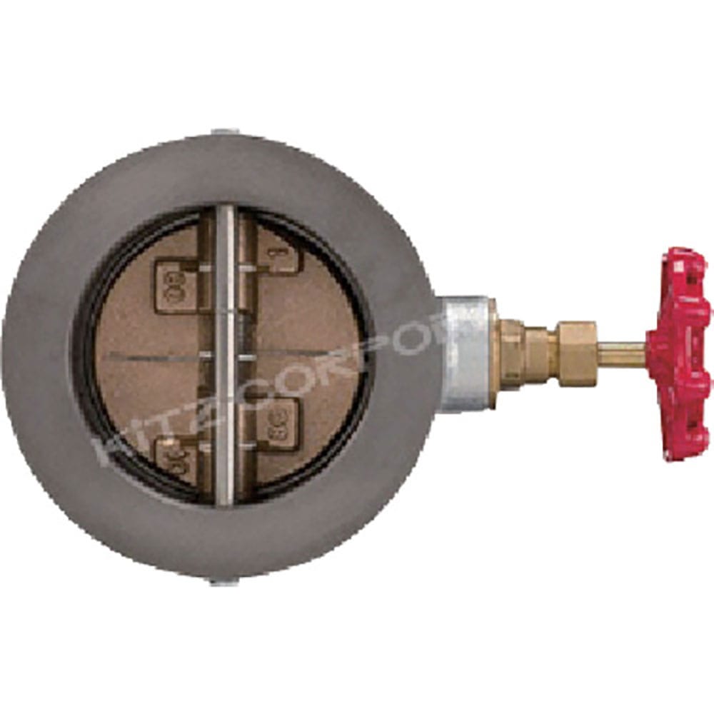 ＫＩＴＺ　鋳鉄ウエハチャッキ８０Ａ　１０ＦＷＺ８０＿