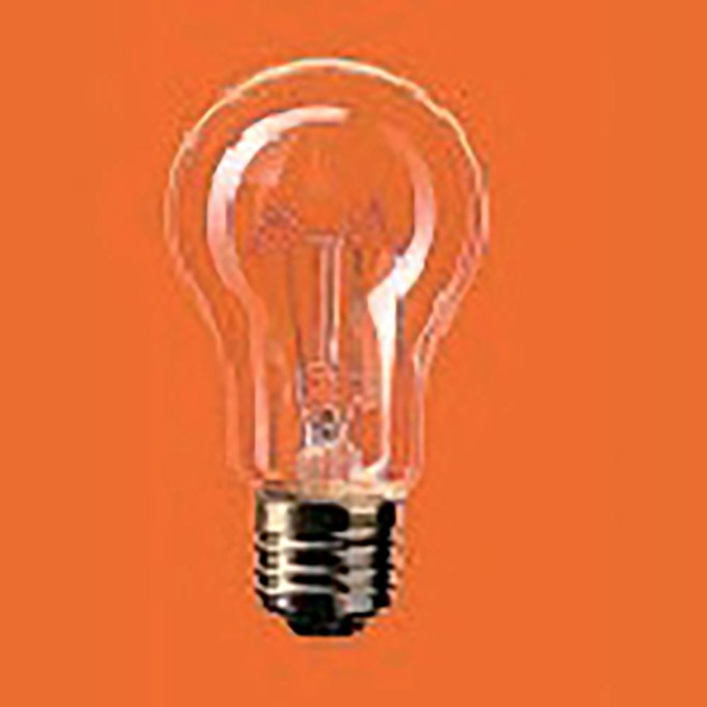 Ｐａｎａｓｏｎｉｃ　耐震電球　ＲＣ２２０Ｖ１００ＷＣＤ＿