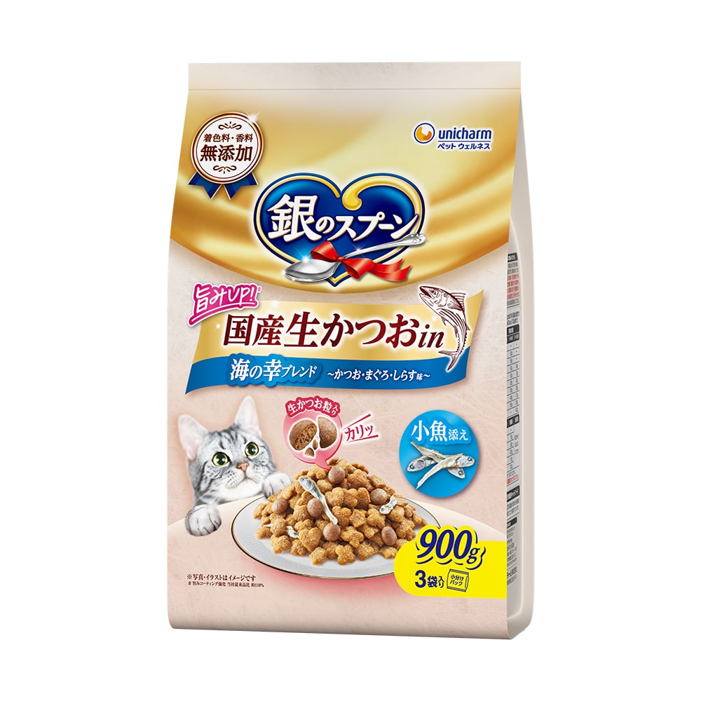 銀のスプーン国産生かつお　海の幸小魚添え　９００ｇ