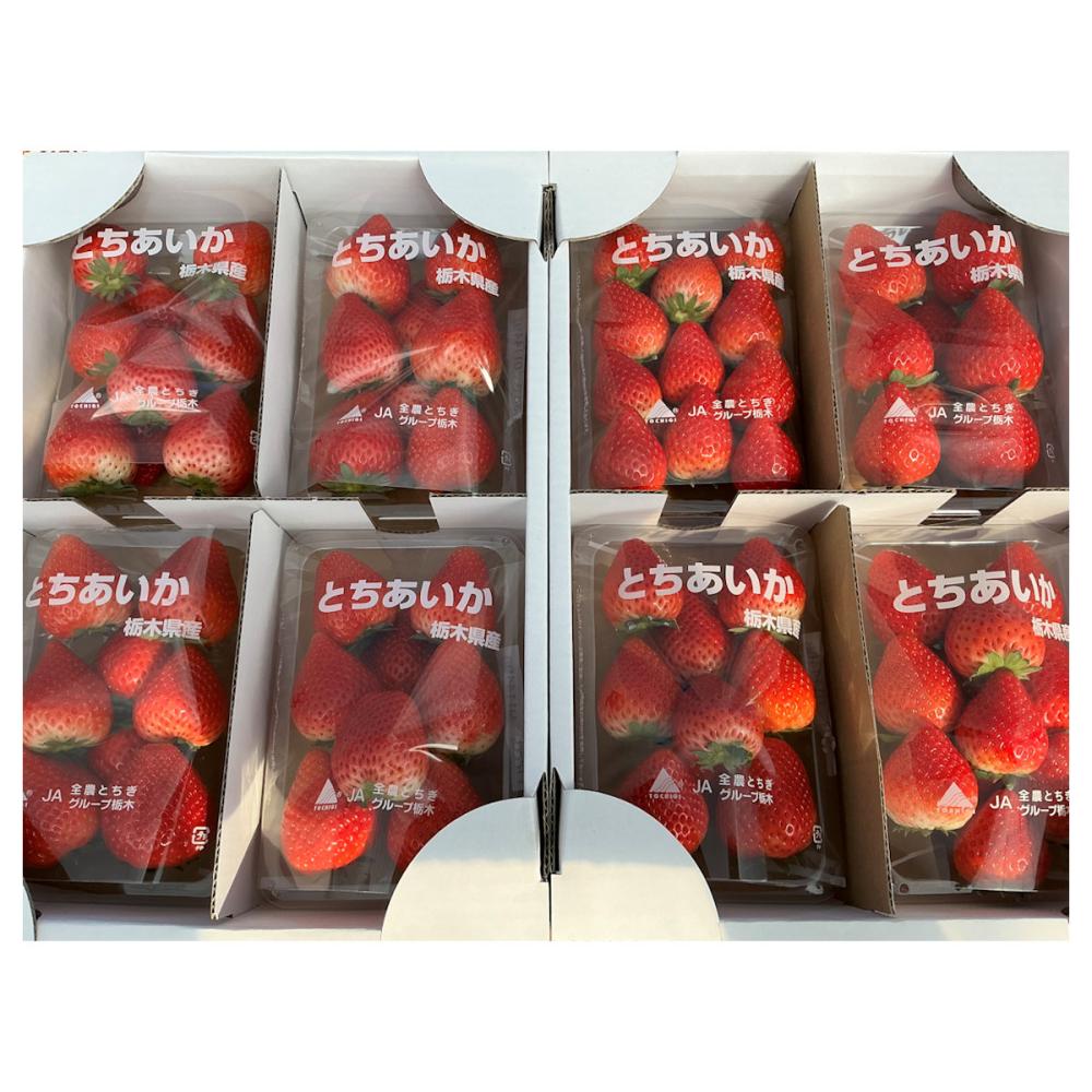 栃木県産　とちあいかいちご　約２ｋｇ（約２６０ｇ×８パック）