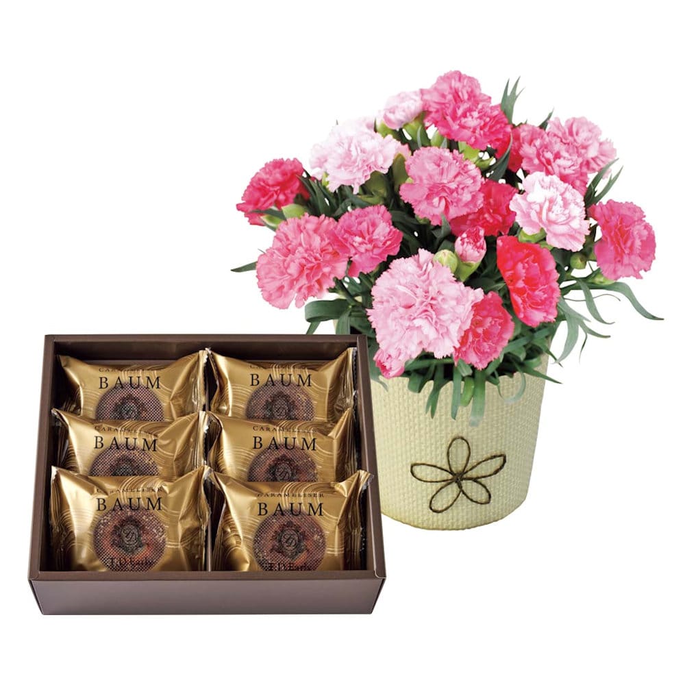 【母の日ギフト】カーネーション（ホットハート）とＴ．Ｄ．Ｅａｒｌｙ　キャラメリゼバウムＢ４０－１【注文期限４月１８日】