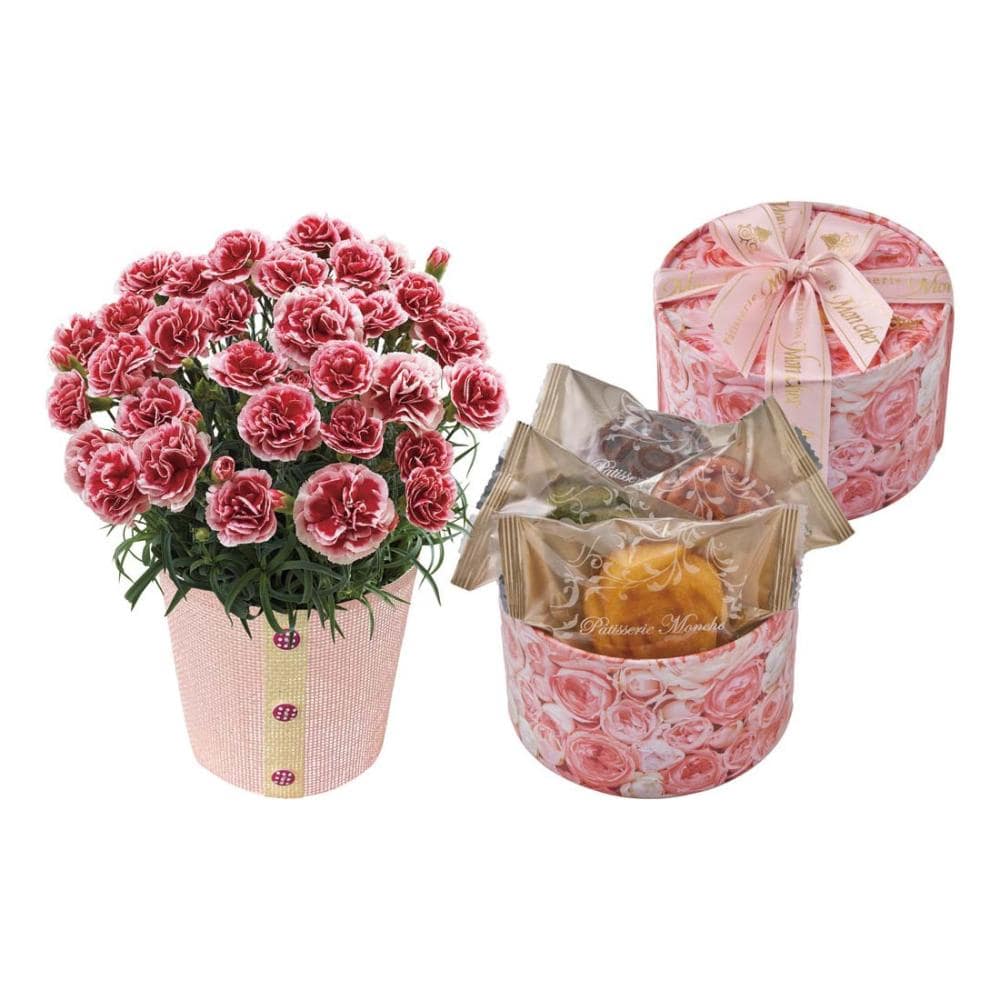 【母の日ギフト】カーネーション（いちごホイップ）と「パティスリー　モンシェール」エタニティーローズＣ４０－２【注文期限５月１日】