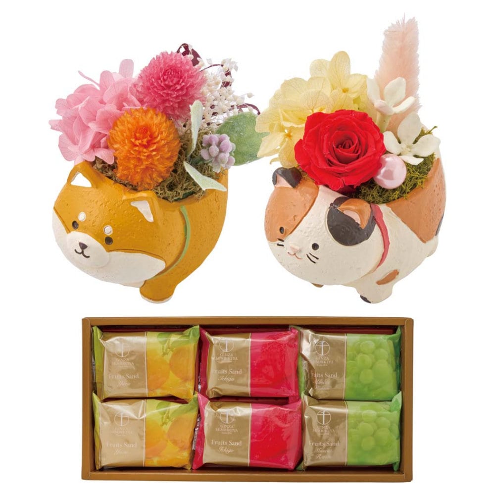 【母の日ギフト】アニマルプリザと「銀座千疋屋」銀座フルーツサンドＣ４０－６【注文期限５月１日】