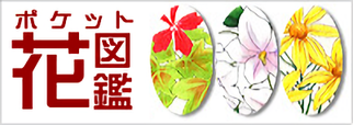 ポケット花図鑑