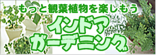 もっと観葉植物を楽しもう　インドアガーデニング