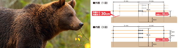 熊（3段＋1段）