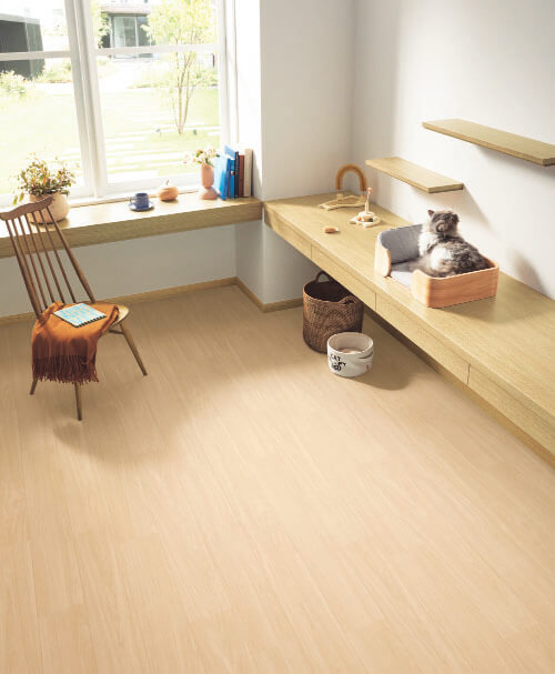 Pon22_P006_1_CHD5401