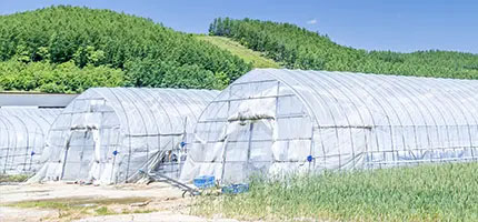 ビニールハウス特集
