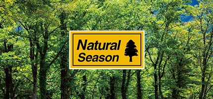 Natural Season(ナチュラルシーズン)