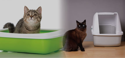 ネコちゃんのトイレおすすめ特集