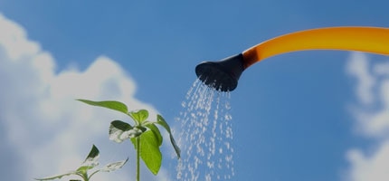 水やり・散水特集