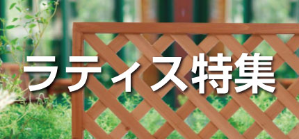 ラティス特集
