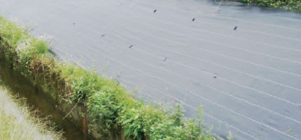 防草シート特集