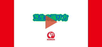 芝生の張り方はこちら