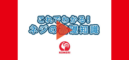 你的品牌名Howtoなび ネジの基礎知識はこちらから