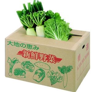 野菜出荷用ダンボール