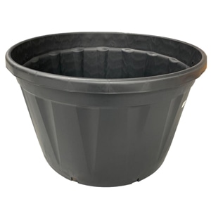 育成育苗鉢
