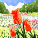 チューリップ