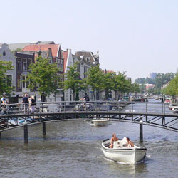 運河とセイヨウボダイジュ