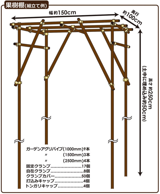 �ʎ����g��