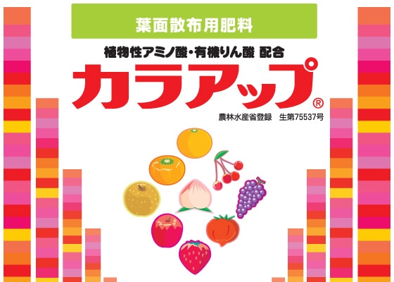 �J���A�b�v