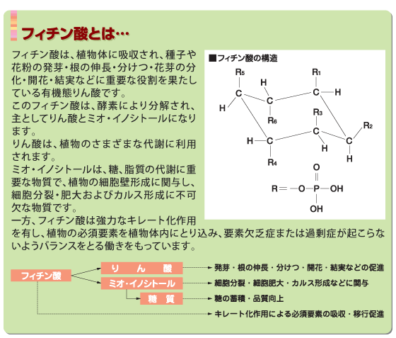 �t�B�`���_�Ƃ�