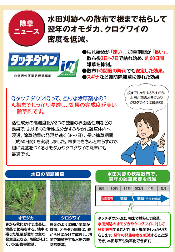 �����j���[�X