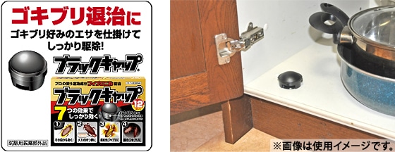 �A�[�X�E����