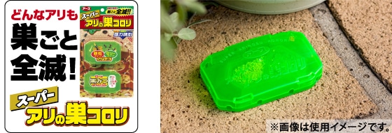 �A�[�X�E����