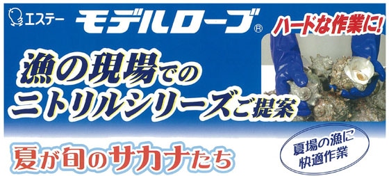 ���f�����[�u