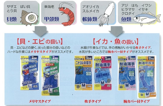 �ď�̋��ɉ��K���